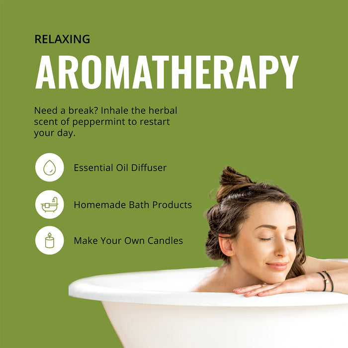 Lab Bulks Peppermint Essential Oil 16 oz Bottle, for Diffusers, Home Care, Candles, Cleaning, Spray - 2 Pack