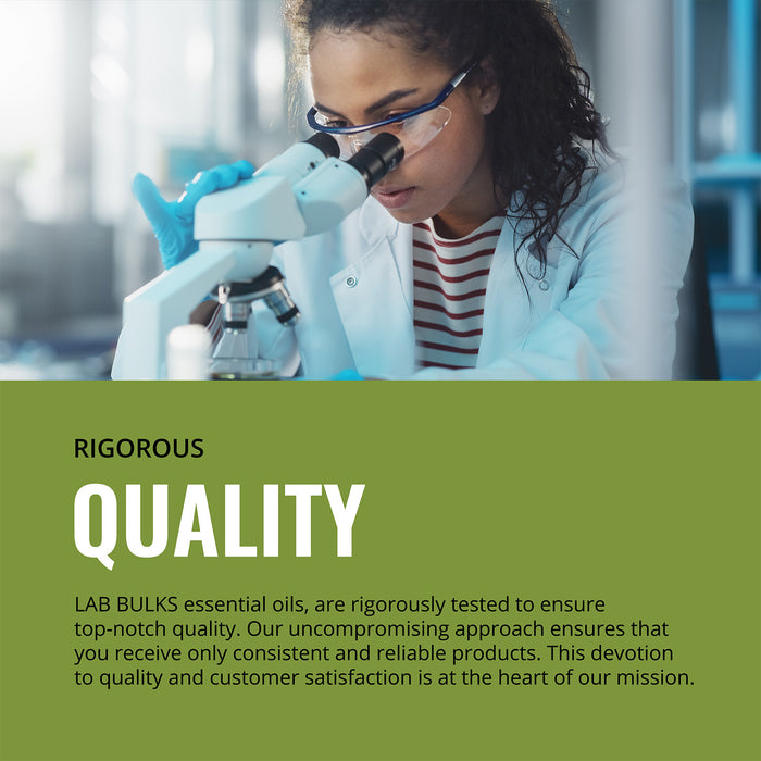 Lab Bulks Peppermint Essential Oil 16 oz Bottle, for Diffusers, Home Care, Candles, Cleaning, Spray - 2 Pack