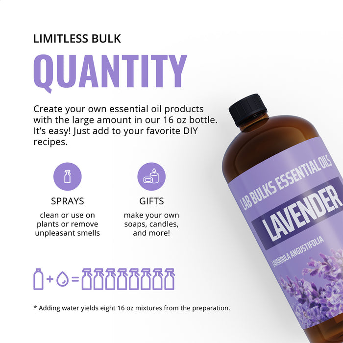 Lab Bulks Lavender Essential Oil 16 oz Bottle, for Diffusers, Home Care, Candles, Aromatherapy, Lavender Oil Spray – 2 Pack