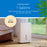 hOmeLabs 1,800 Sq. Ft Energy Star Dehumidifier – 25 Pint, High-Efficiency Moisture Removal for Home, Bedroom, Bathroom & Medium Rooms