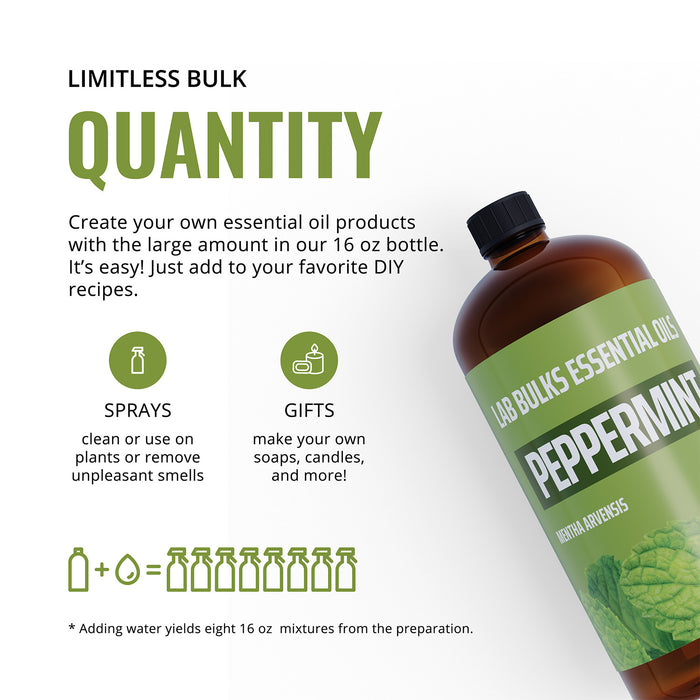 Lab Bulks Peppermint Essential Oil 16 oz Bottle, for Diffusers, Home Care, Candles, Cleaning, Spray