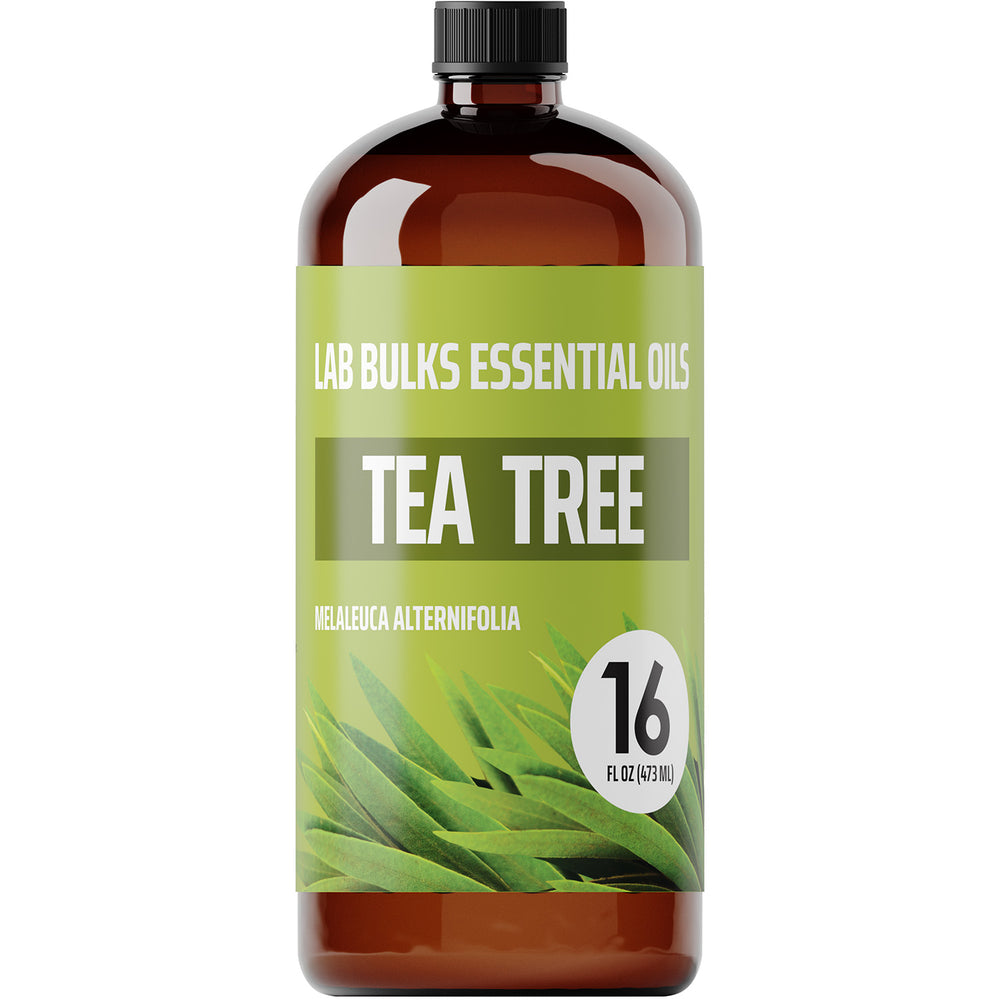 Lab Bulks Tea Tree Essential Oil 16 oz Bottle, for Oil Diffuser, Home Care, Candles, Aromatherapy - 1 Pack